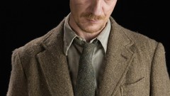Cast Actors harry potter remus lupin David Thewlis