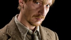 Cast Actors harry potter remus lupin David Thewlis