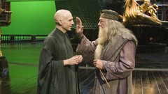 Cast ralph fiennes harry potter warner bros Voldemort Set 