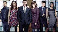 Cast TV shows david boreanaz TV series emily deschanel Bones TV 