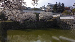 Castle and pond architecture