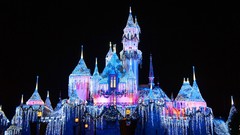 Castle Disney Company