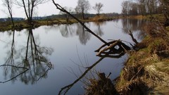 Castles cityscapes old Polish