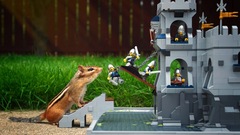 Castles fences Animals grass