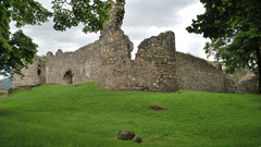 Castles grass nature