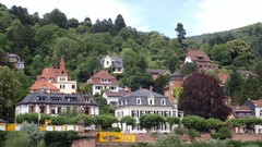 Castles rivers Heidelberg