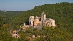 Castles ruins forests