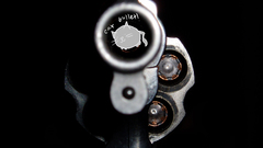 Cat bullet animal