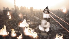 Cat destroyer Tokyo fun