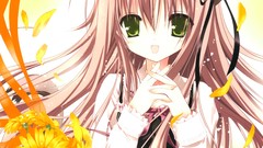 Cat ears lolicon tinkerbell