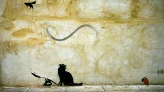 Cat mouse banksy