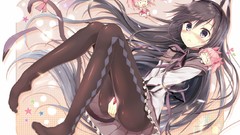 Cat tail anime girls