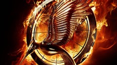 Catching Fire