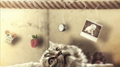 Cats abstract mice artwork