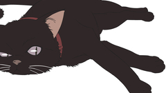 Cats Animals darker than