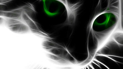 Cats Animals Fractalius