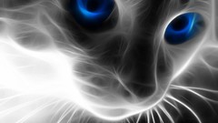 Cats Animals Fractalius