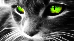 Cats Animals Fractalius green