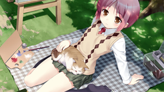 Cats Animals school uniforms