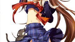 Cats Anime anime girls lolicon