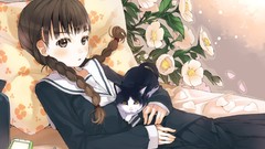 Cats Anime anime girls seifuku lolicon