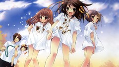 Cats anime girls asahina mikuru nagato yuki suzumiya haruhi 