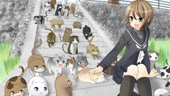 Cats anime girls brunettes school uniforms short hair