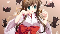 Cats anime girls miko