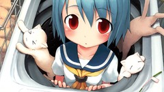 Cats anime girls washing machine