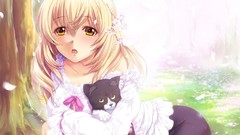 Cats Anime paintings drawings anime girls fan art game cg koi 