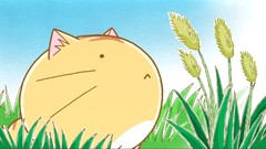 Cats Anime Poyopoyo Kansatsu Nikki
