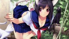 Cats Anime school uniforms nekomimi animal ears sailor uniforms