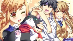 Cats Anime skirts long hair school uniforms nyan koi Mizuno 