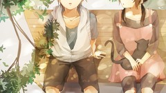 Cats Anime soft shading