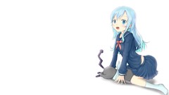 Cats Anime white background blue hair long hair blue eyes 