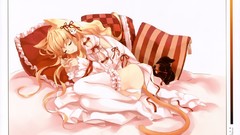 Cats ass sleeping white background beds Ribbons stockings 