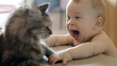 Cats baby funny screaming