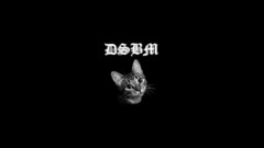 cats Black Metal Music Animals Minimalism Simple Background