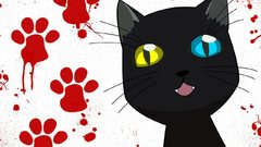 Cats bleach heterochromia shihouin