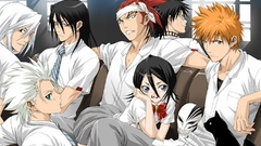 Cats bleach kurosaki ichigo