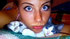 Cats blondes blue eyes