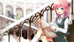 Cats blue eyes Library