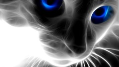 Cats blue eyes selective coloring Fractalius
