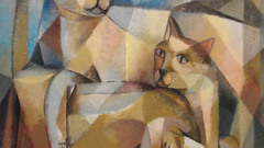 Cats cat animal Kitty