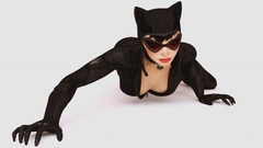 Cats Catwoman Thief batman arkham city arkham city cleavage dc 