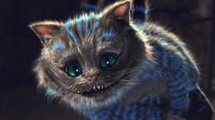Cats cheshire cat