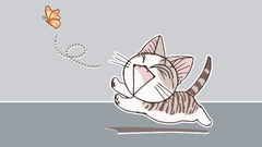 Cats chi Chi's Sweet