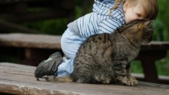 Cats children Friends