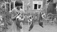 Cats children socks houses clothespin grayscale old photography 