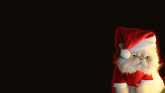 Cats Christmas